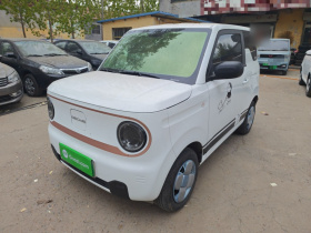 吉利银河 2024款 熊猫mini 200km 耐力熊