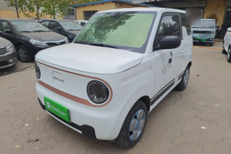 吉利银河 2024款 熊猫mini 200km 耐力熊