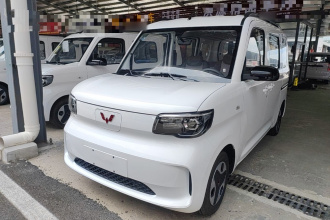 五菱汽车 五菱之光新能源 2025款 305km 进取型