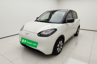 五菱汽车 五菱缤果 2024款 333km 悦享款