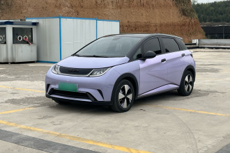 比亚迪 海豚 2023款 420km 时尚版