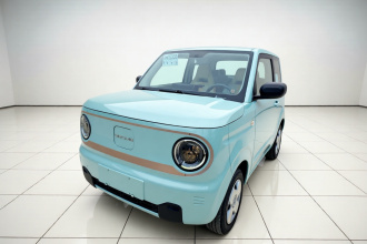 吉利银河 2023款 熊猫mini 200km 耐力熊