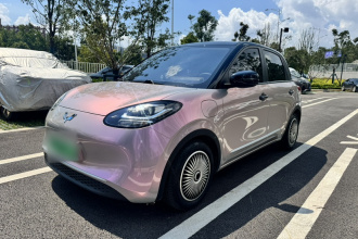 五菱汽车 五菱缤果 2023款 333km 快享款