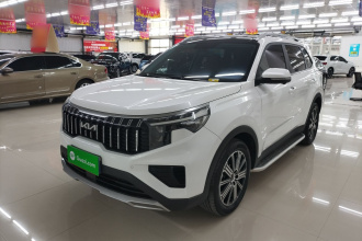 起亚 智跑 2021款 Ace 2.0L 精彩版