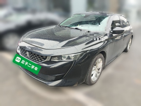 标致508 2019款 508L 360THP PureTech 先锋版 国VI