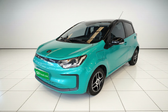 思皓 花仙子 2021款 集美版 302km 时尚型