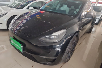 特斯拉 Model Y 2021款 Performance高性能全轮驱动版