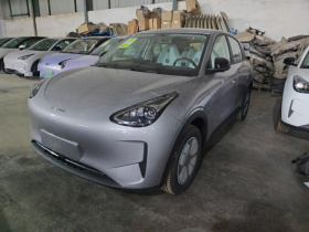 吉利银河 星愿 2026款 410km 自在版