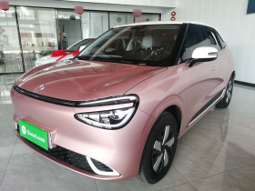 东风纳米 纳米01 2026款 初心款 330Air