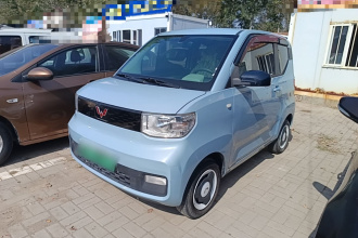 五菱汽车 宏光MINIEV 2022款 轻松款 磷酸铁锂