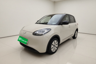 五菱汽车 五菱缤果 2023款 203km 轻享款