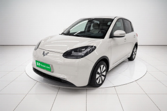 五菱汽车 五菱缤果 2023款 203km 舒享款