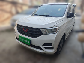 五菱汽车 五菱宏光 2021款 1.5L S基本型LAR