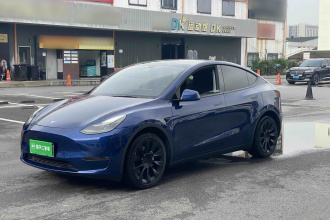 特斯拉 Model Y 2021款 长续航全轮驱动版