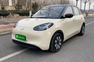 五菱汽车 五菱缤果 2025款 410km 灵犀尊享款