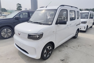 五菱汽车 五菱之光新能源 2025款 305km 进取型