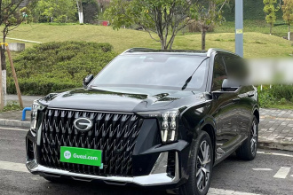 广汽传祺 传祺GS8 2022款 双擎系列 2.0TM 两驱尊贵版 （七座）