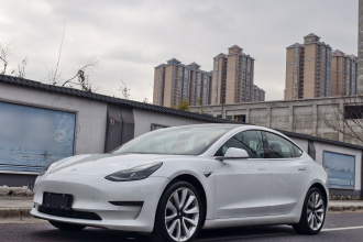 特斯拉 Model 3 2020款 改款 长续航后轮驱动版