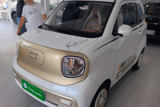 奔腾小马 2026款 222km 炫彩马