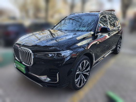 宝马X7 2019款 xDrive40i 领先型豪华套装