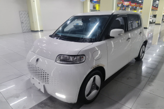 欧拉白猫 2020款 360km 标准型