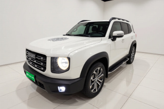 哈弗大狗 2021款 1.5T DCT两驱边牧版