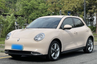 欧拉好猫 2023款 401km标准续航 豪华型 磷酸铁锂