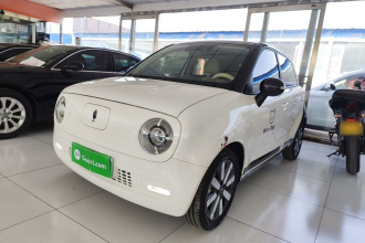 欧拉黑猫 2021款 351km 豪华型