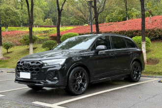 奥迪Q7 2025款 45 TFSI quattro S line黑武士型