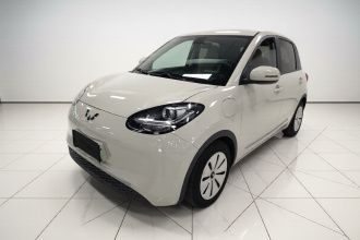 五菱汽车 五菱缤果 2023款 333km 快享款