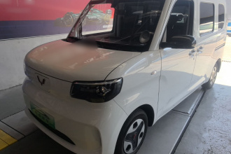 五菱汽车 五菱之光新能源 2025款 201km 标准型