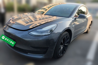 特斯拉 Model 3 2019款 标准续航后驱升级版