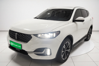 魏牌 VV6 2021款 2.0T 两驱智享+