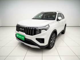 起亚 智跑 2021款 Ace 2.0L 精彩版