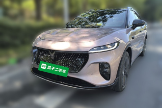 岚图汽车 岚图知音 2024款 四驱全球版