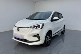 长安 奔奔E-Star 2021款 国民版 多彩款 磷酸铁锂（31.95kWh）