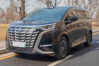 腾势D9 2025款 DM-i 智驾版 1020 四驱尊享型