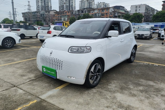 欧拉白猫 2020款 305km 豪华型