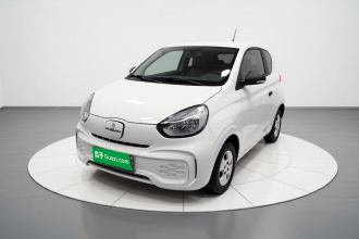 荣威 科莱威CLEVER 2021款 302km卓越版