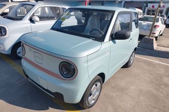 吉利银河 2024款 熊猫mini 200km 耐力熊