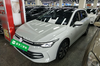 大众 高尔夫 2025款 改款 300TSI Pro