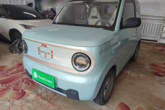 吉利银河 2024款 熊猫mini 200km 耐力熊