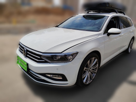 大众 蔚揽 2021款 2.0T 舒行版