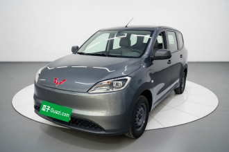 五菱汽车 五菱宏光新能源 2024款 纯电版 300KM 标准型