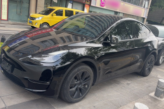 特斯拉 Model Y 2021款 长续航全轮驱动版 3D7