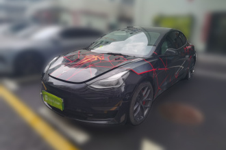 特斯拉 Model 3 2021款 Performance高性能全轮驱动版 3D6