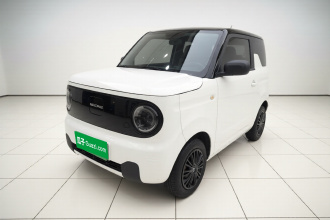 吉利银河 2024款 熊猫mini 200km 耐力熊