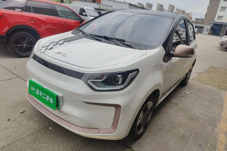 江淮钇为 钇为花仙子 2024款 挚爱版 301km Lite