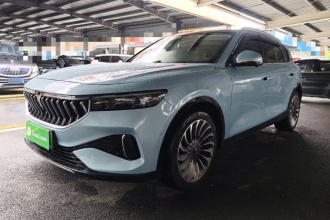 岚图汽车 岚图FREE 2021款 四驱纯电首发纪念版专属豪华套装