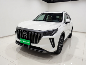 广汽传祺 传祺GS4 PLUS 2021款 390T 自动星际版